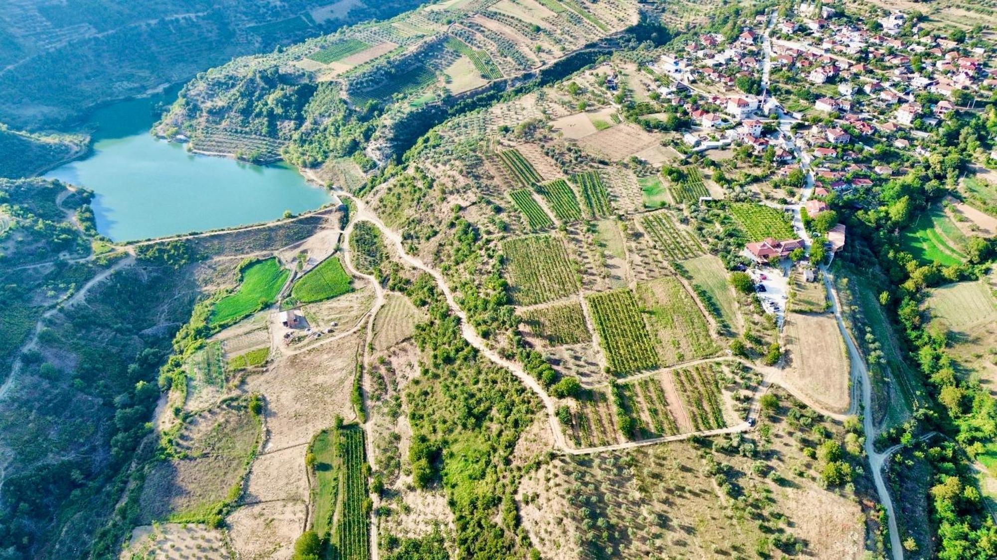Alpeta Agrotourism & Winery - Roshnik , Berat Hotel ภายนอก รูปภาพ